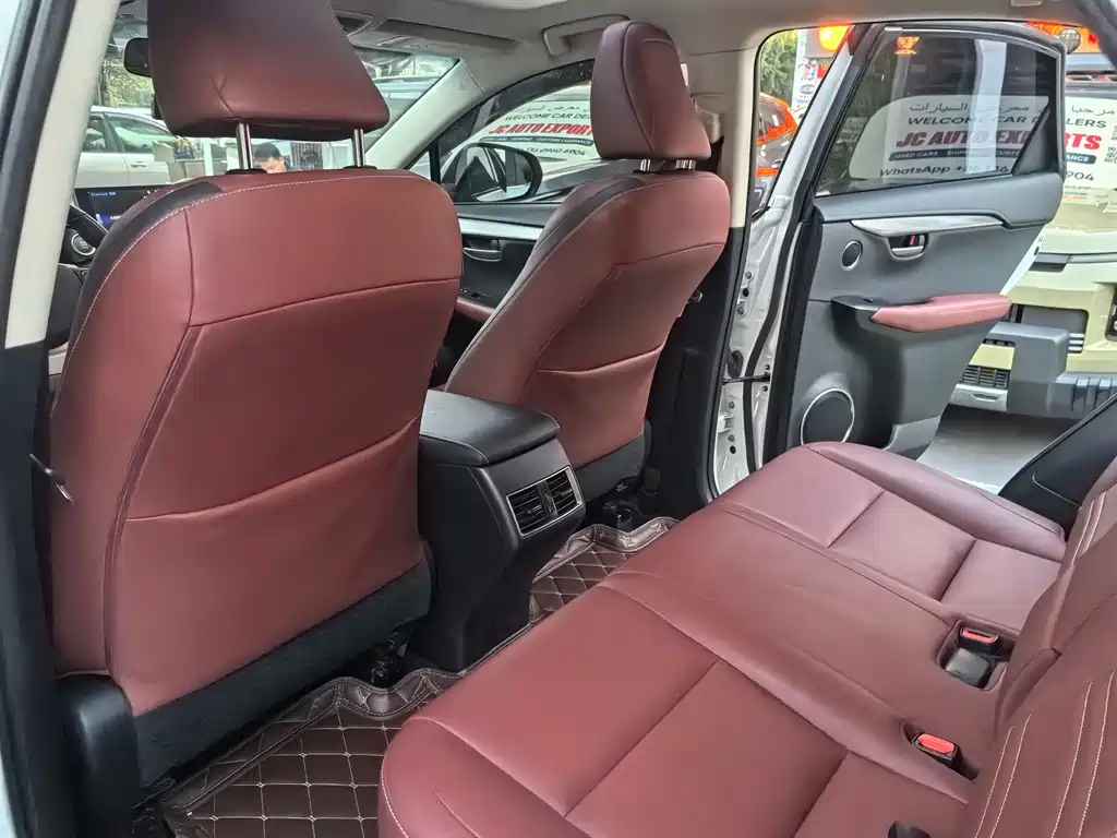 Lexus NX — миниатюра 9