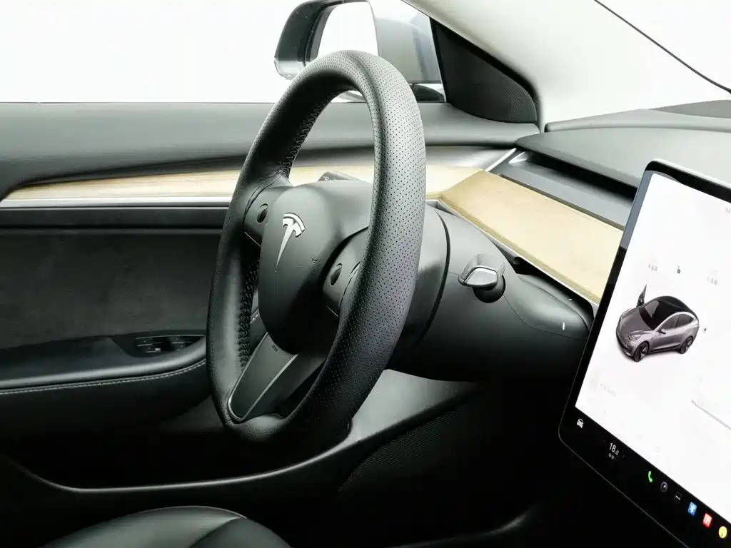 Tesla Model 3 — миниатюра 22