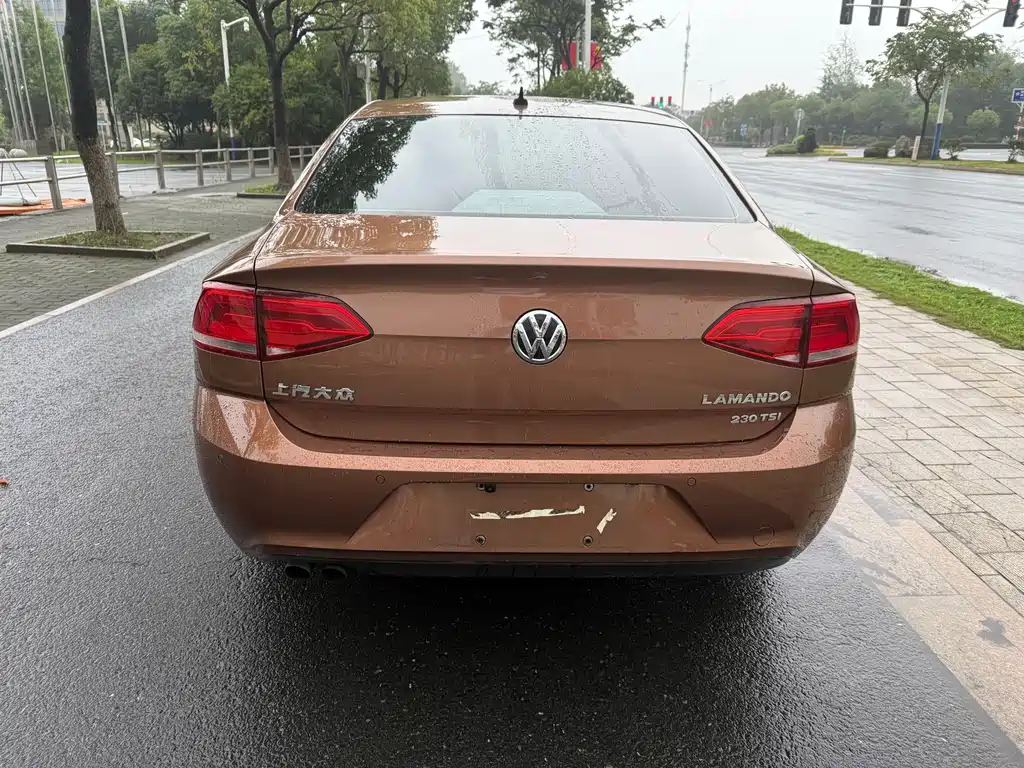 Volkswagen Lamando — миниатюра 5