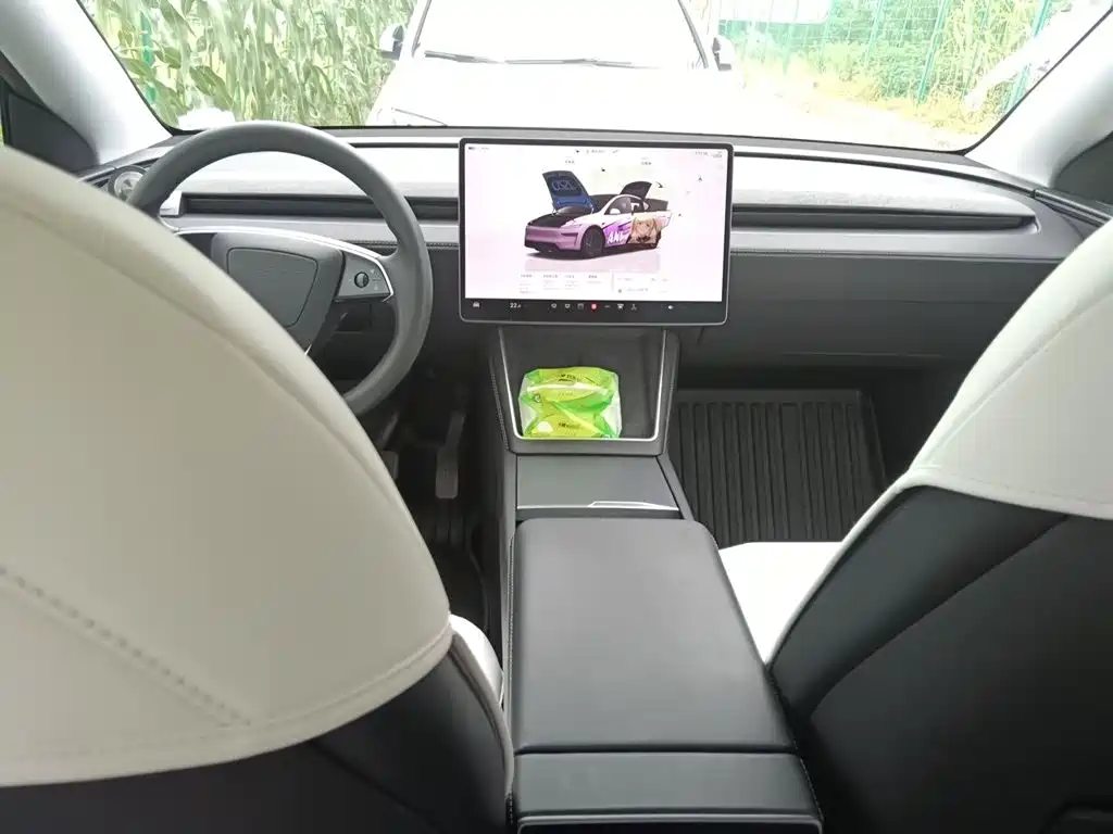 Tesla Model Y — миниатюра 5