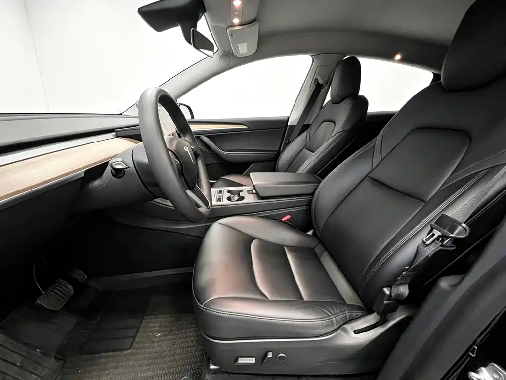 Tesla Model Y — миниатюра 13