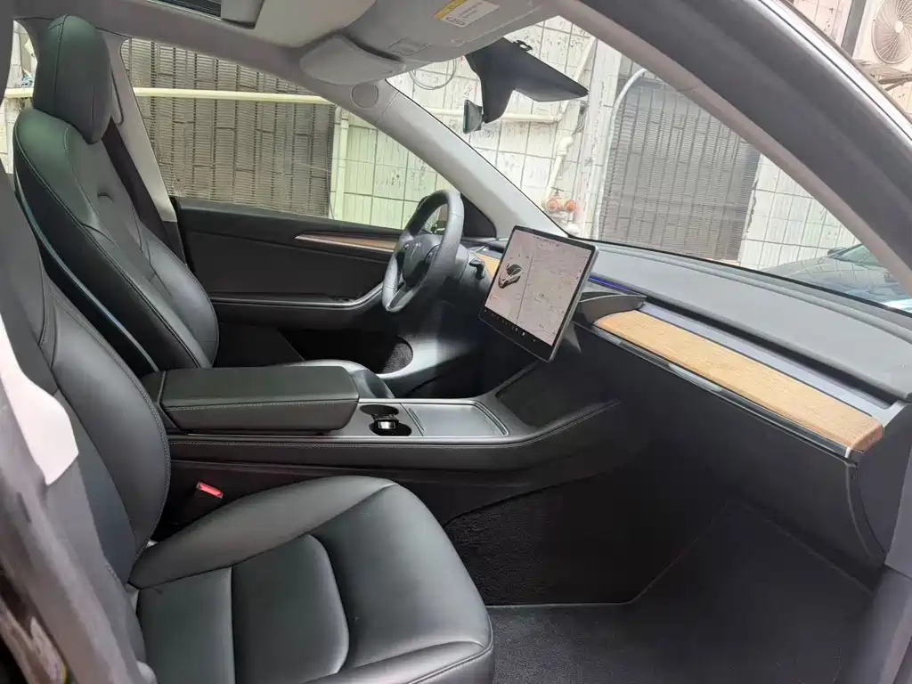 Tesla Model Y — миниатюра 5