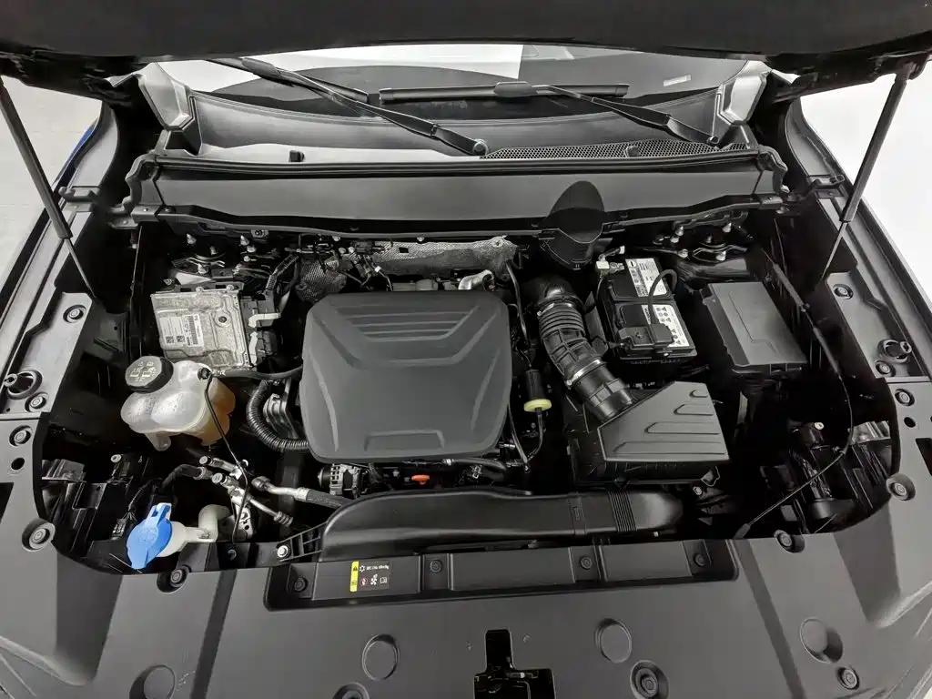 Haval Big Dog PLUS — миниатюра 6