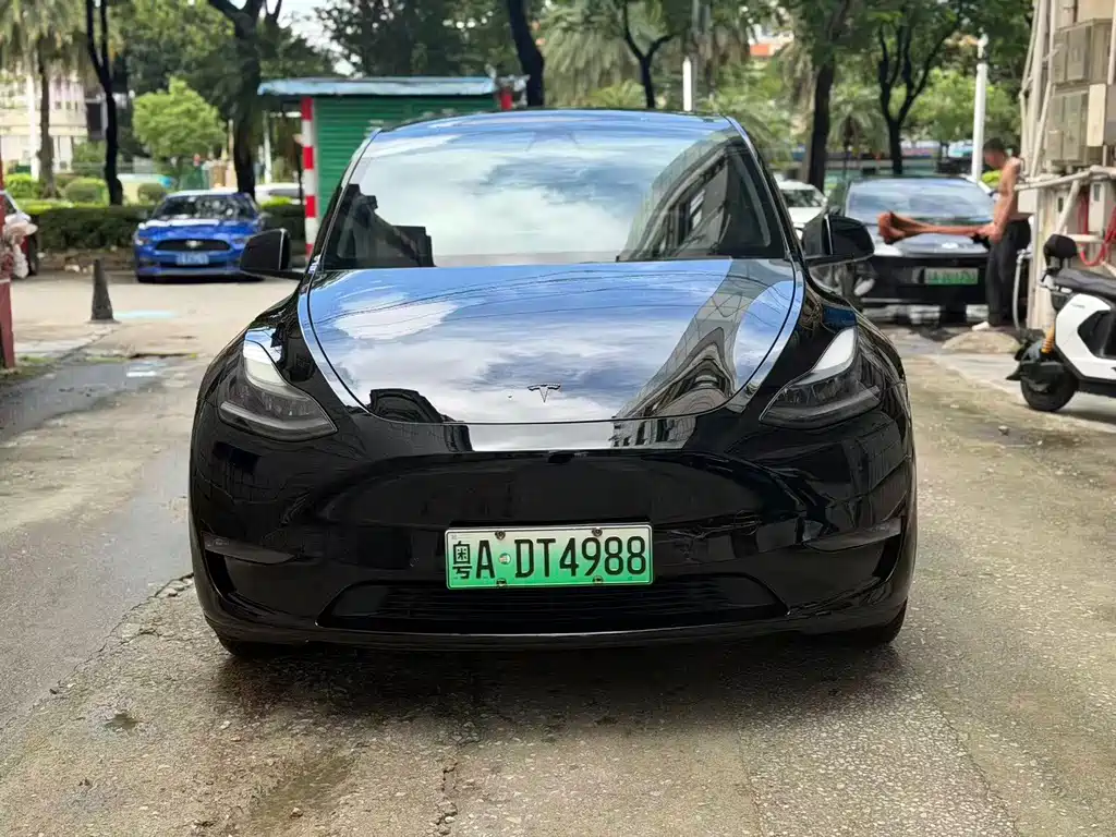 Tesla Model Y — миниатюра 2