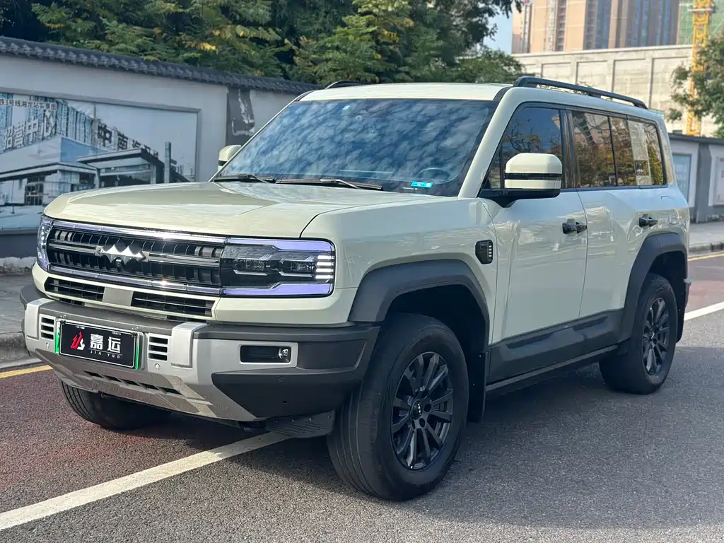 FANG CHENG BAO LEOPARD 5