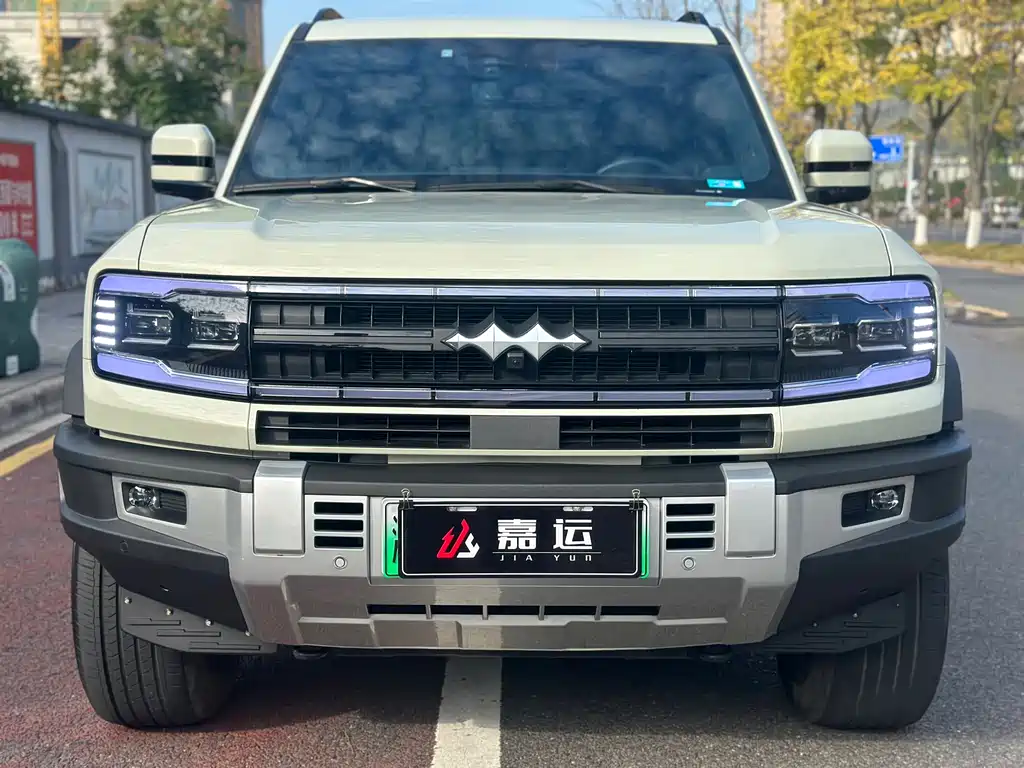 FANG CHENG BAO LEOPARD 5