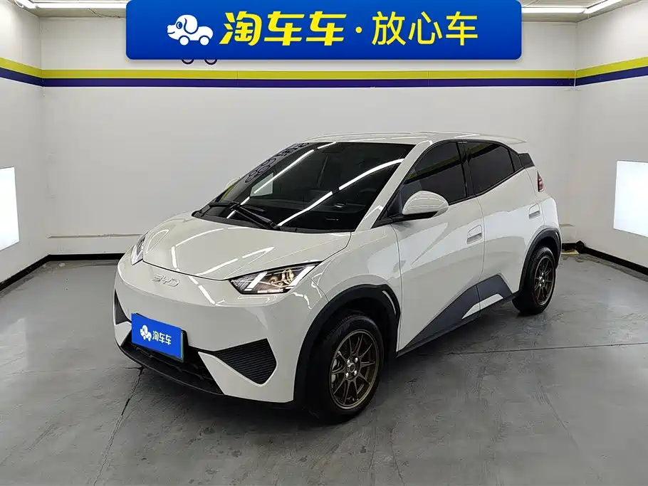 BYD Seagull 2025 Smart Drive Edition 305km Vitality Edition