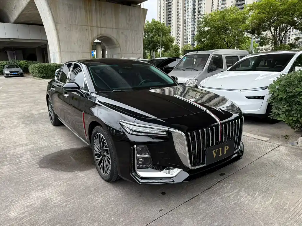 Hongqi H5 2024 2.0T AT