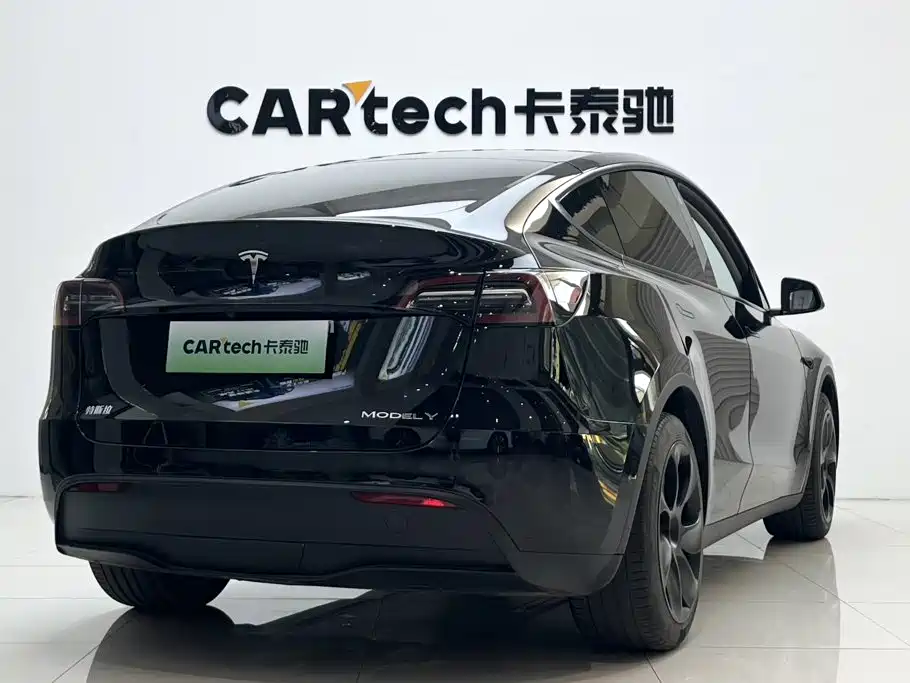 Tesla Model Y — миниатюра 3