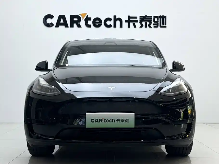 Tesla Model Y — миниатюра 2
