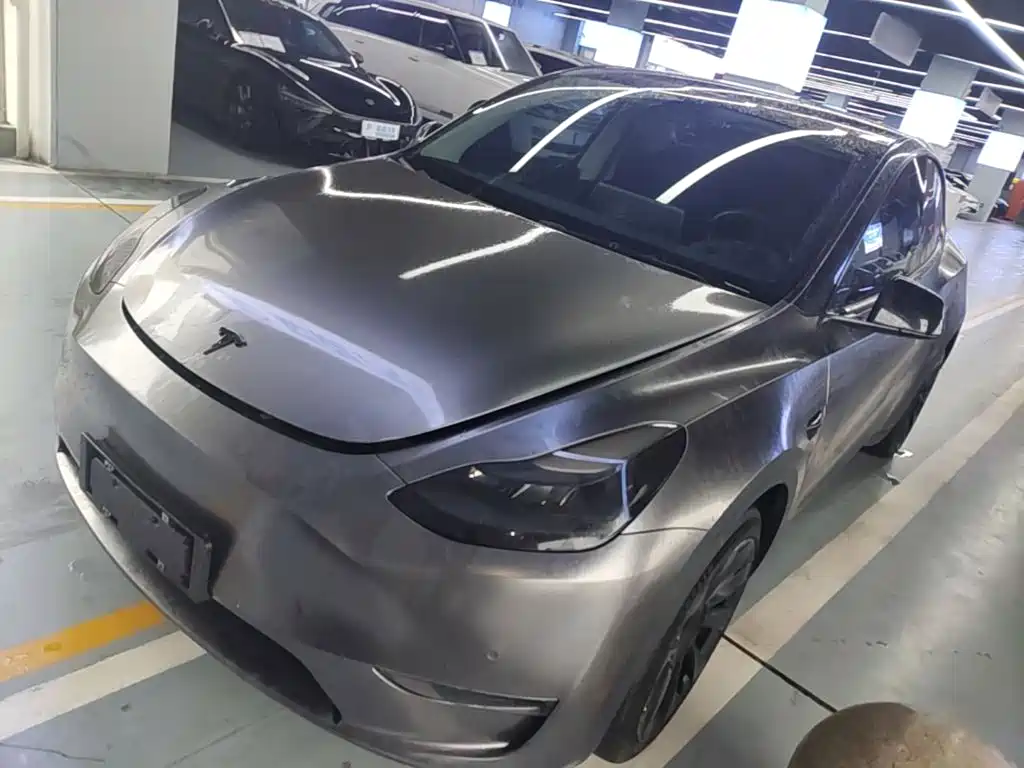 Tesla Model Y — миниатюра 2