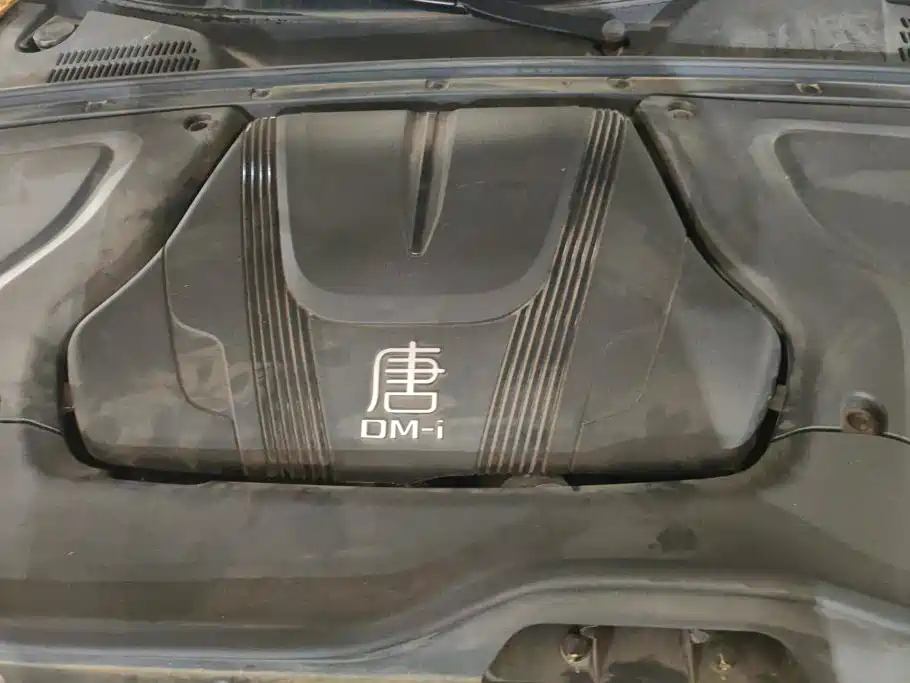 BYD Tang New Energy — миниатюра 10