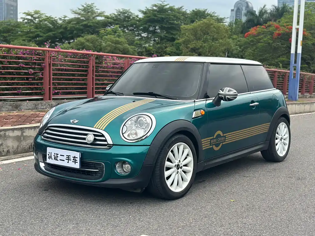 Mini Mini 2013
