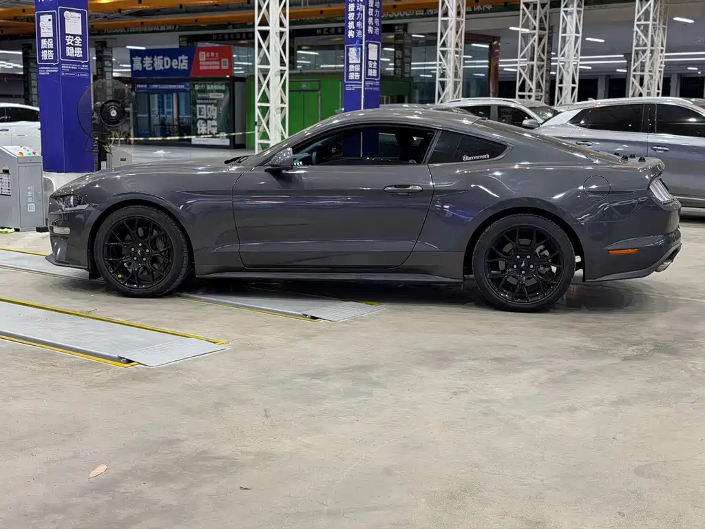 Ford Mustang — миниатюра 10