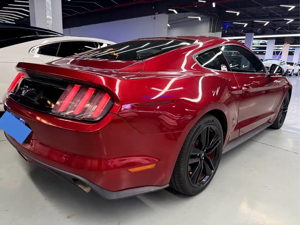 Ford Mustang — миниатюра 13