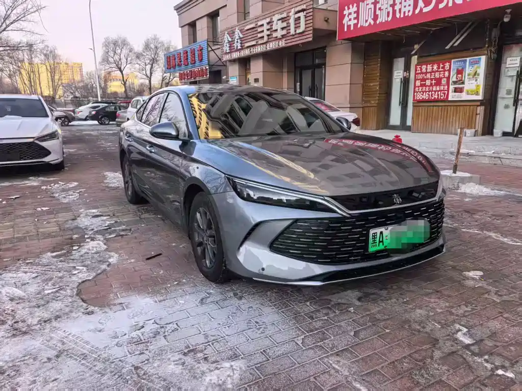 BYD QIN L