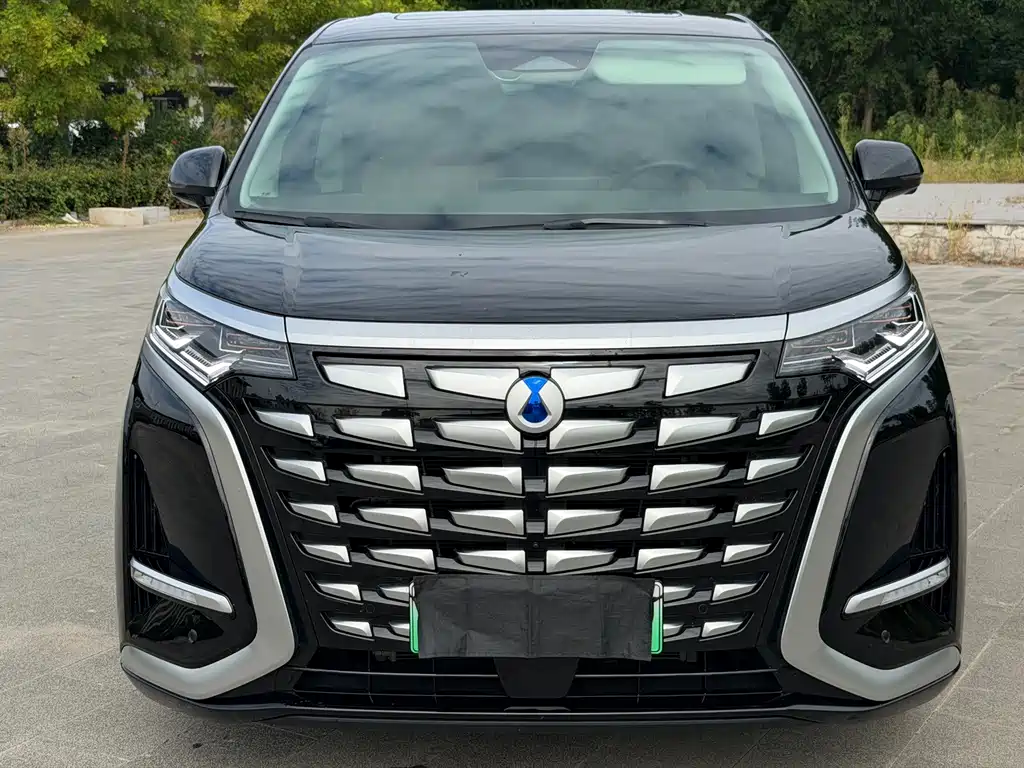 Denza Denza D9 — миниатюра 2