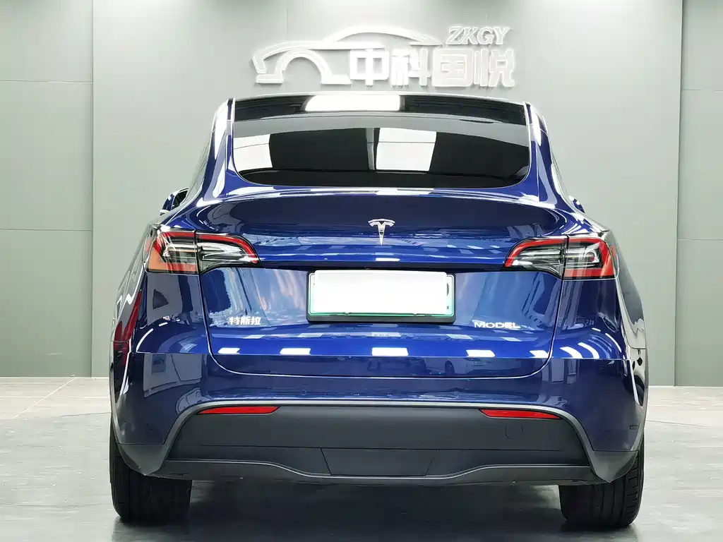 Tesla Model Y — миниатюра 5