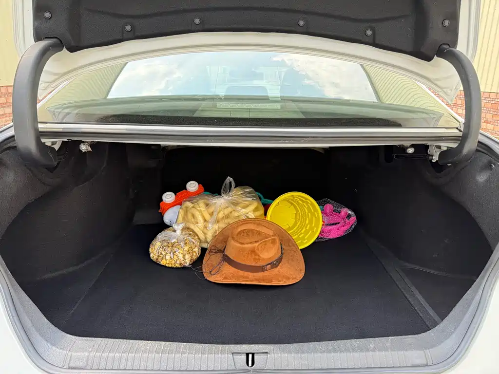 Toyota Avalon — миниатюра 10