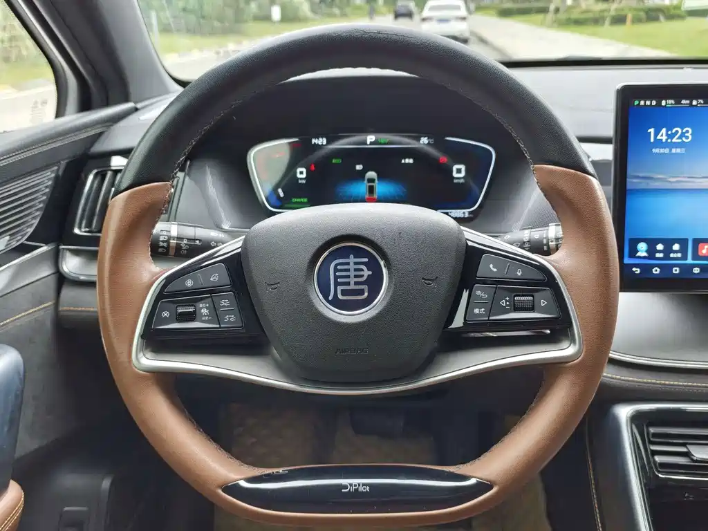 BYD Tang New Energy — миниатюра 15