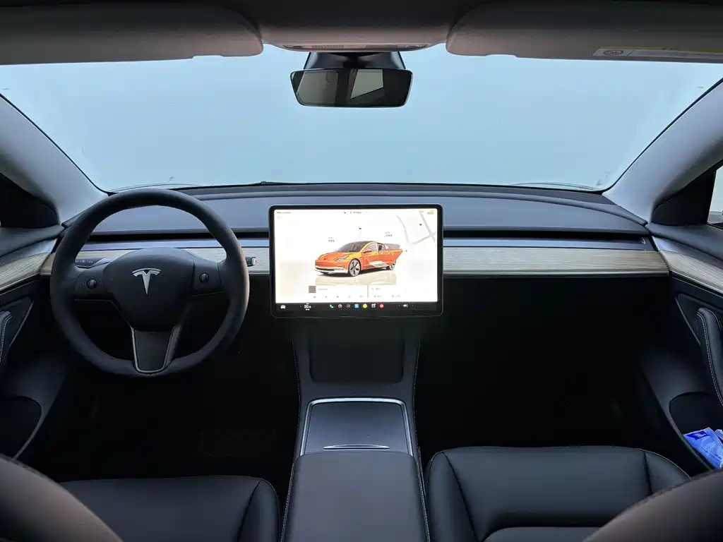 Tesla Model 3 — миниатюра 11