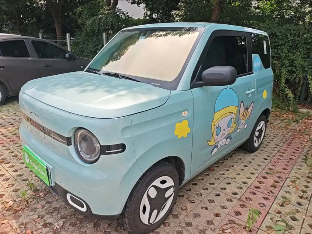 BYD Panda 2025 Panda mini 210km Energetic Bear