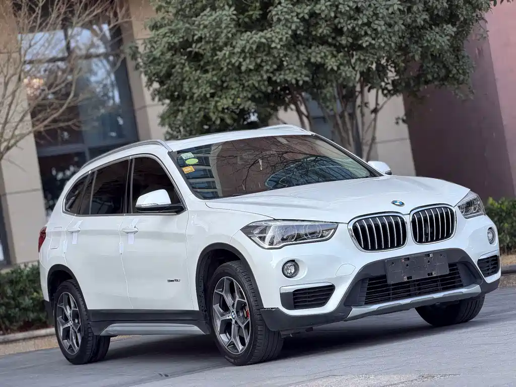 BMW X1 — миниатюра 3