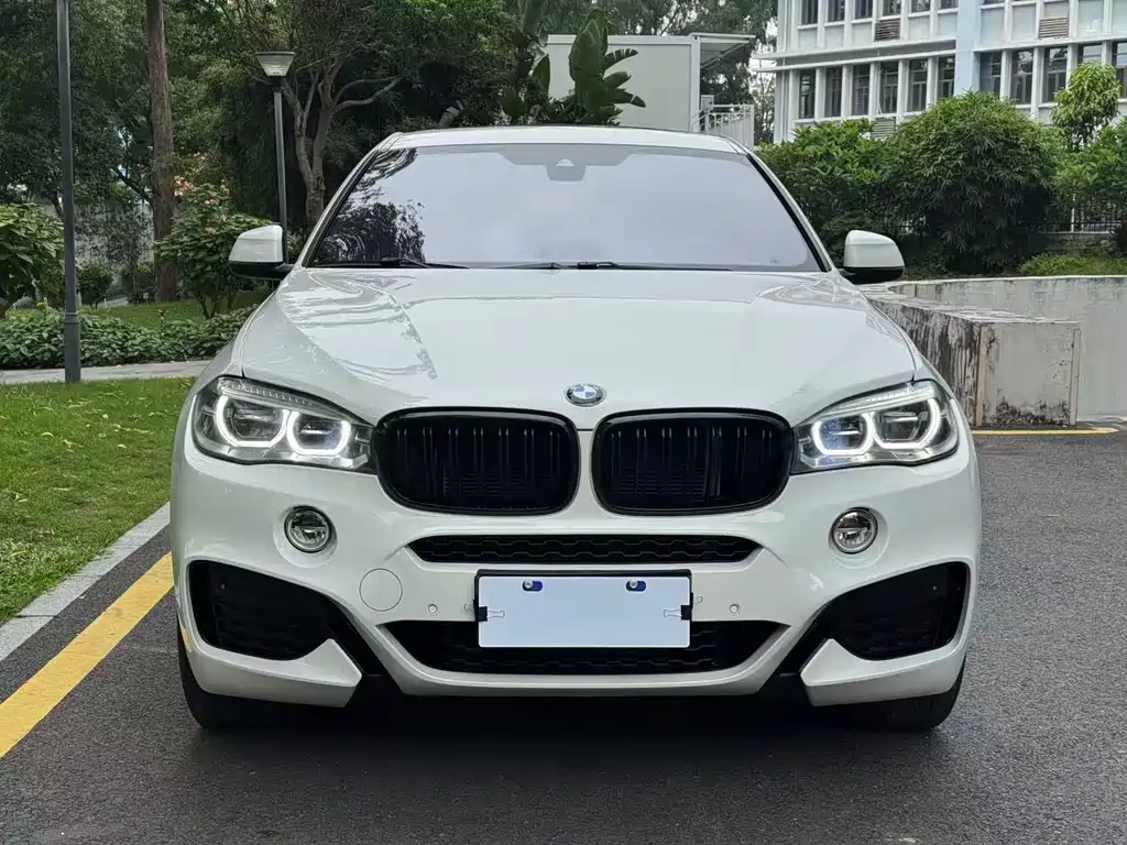 BMW X6 2019 xDrive35i M Sport