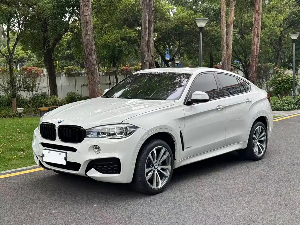 BMW X6 2019 xDrive35i M Sport