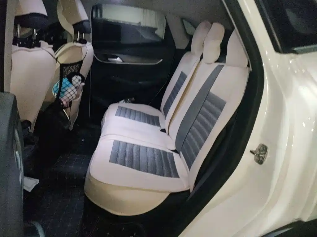 Borgward BX5 — миниатюра 13
