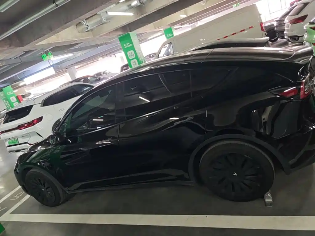 Tesla Model Y — миниатюра 4