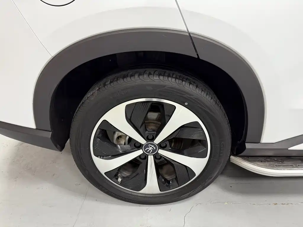 BYD SONGJIANG NEW ENERGY