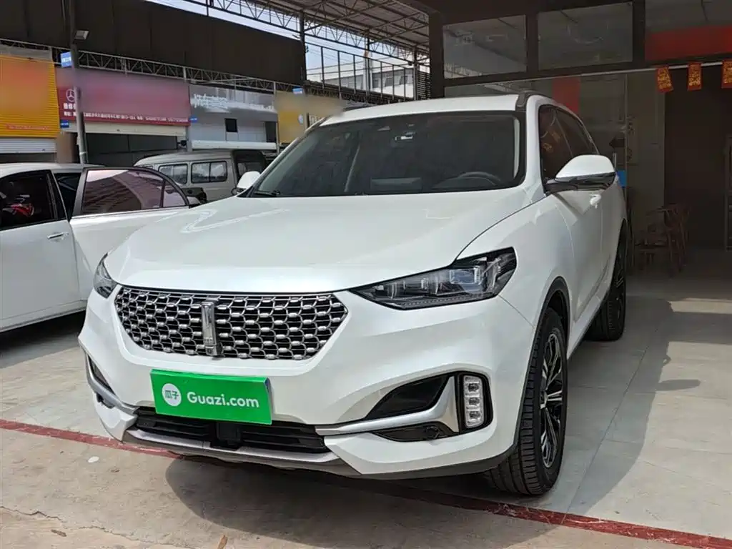 Wey Wey VV6 2020