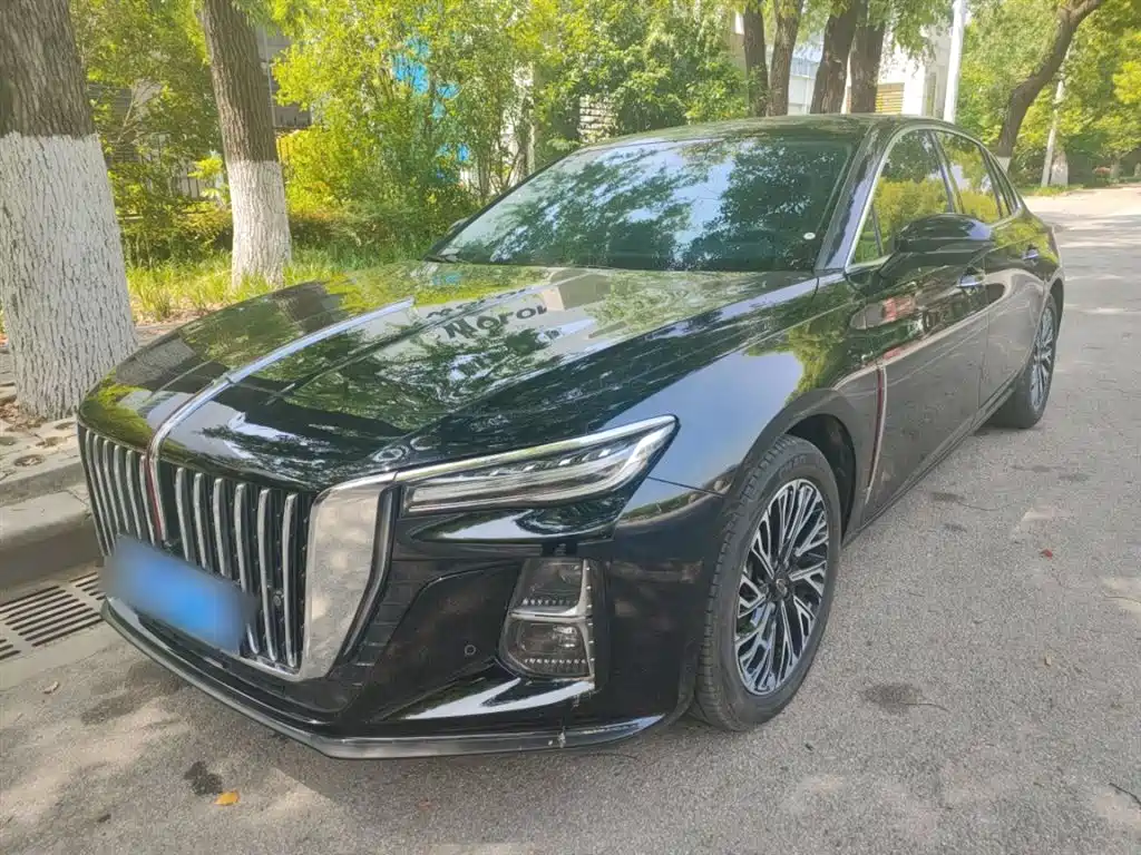 Hongqi Hongqi H5 2024