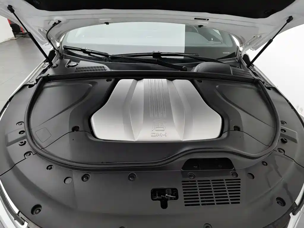 BYD Tang New Energy — миниатюра 6