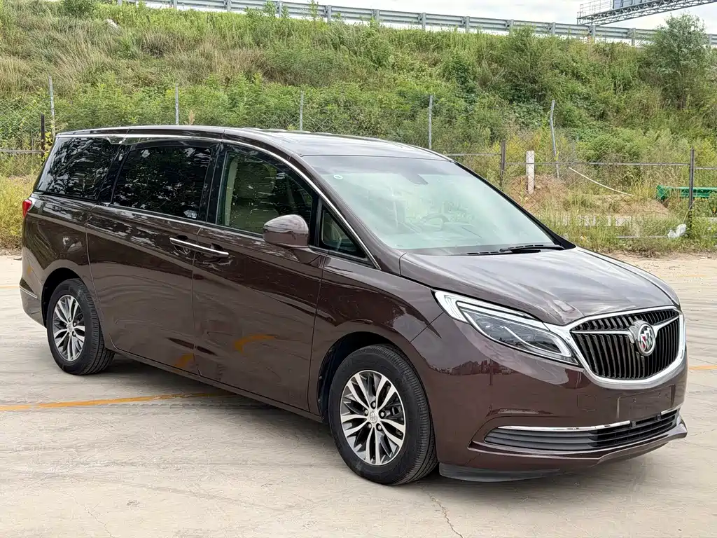 Buick GL8 — миниатюра 3