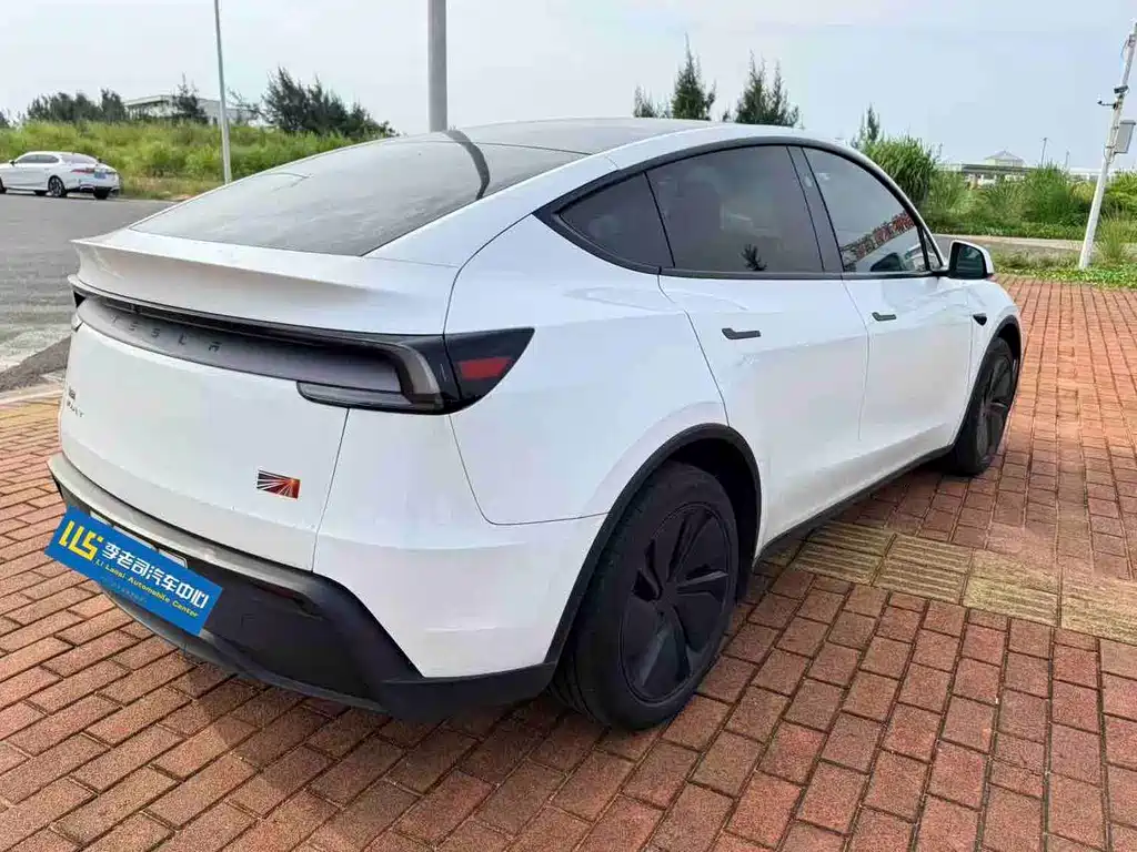 Tesla Model Y — миниатюра 3