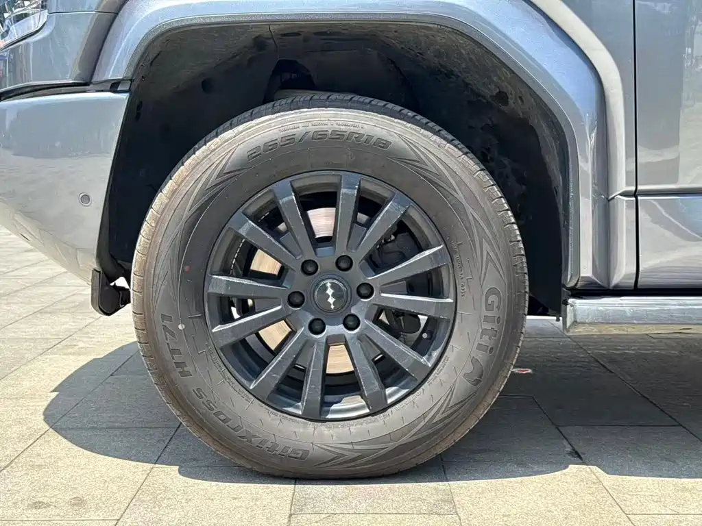 Fangchengbao Leopard 5 5 2025 125KM Smart Drive Ultra