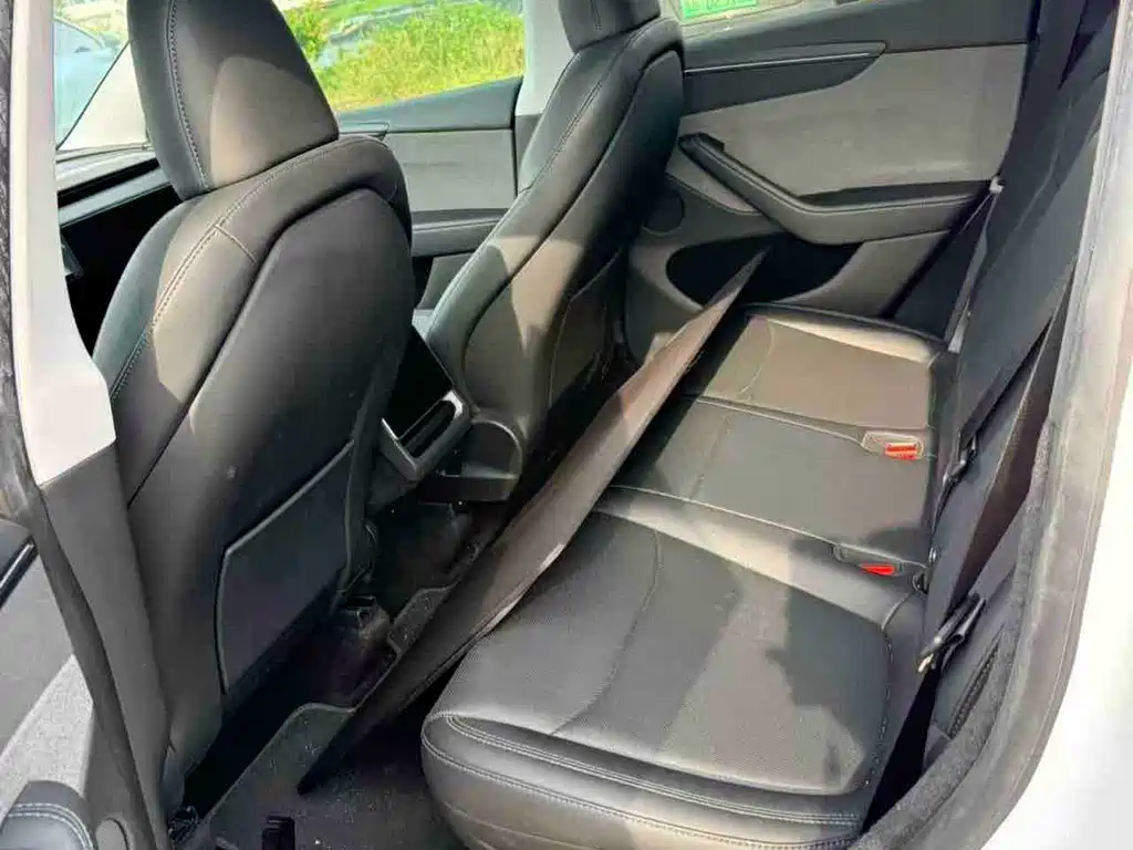 Tesla Model Y — миниатюра 6