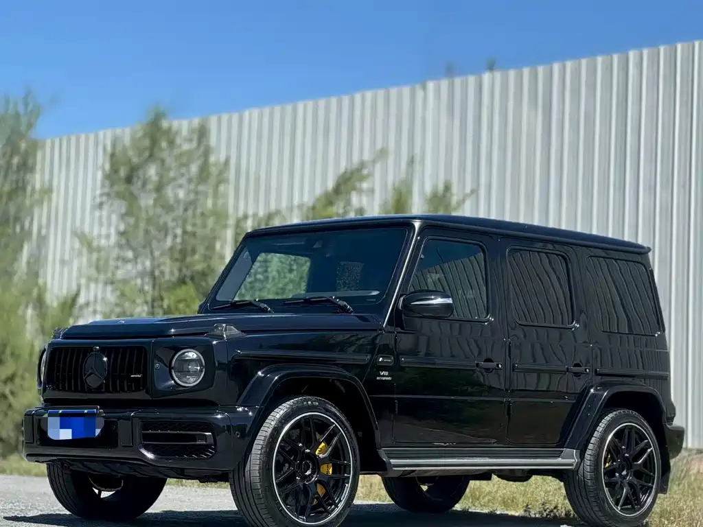 Купить Mercedes-Benz G-Class