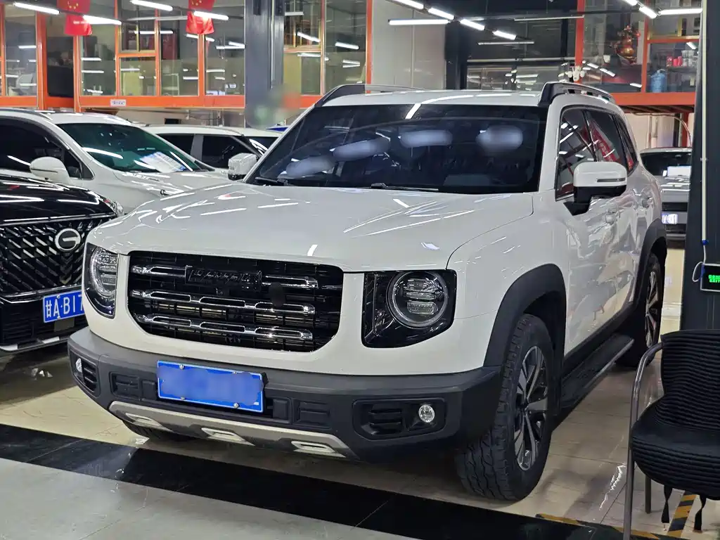 Купить Haval Big Dog