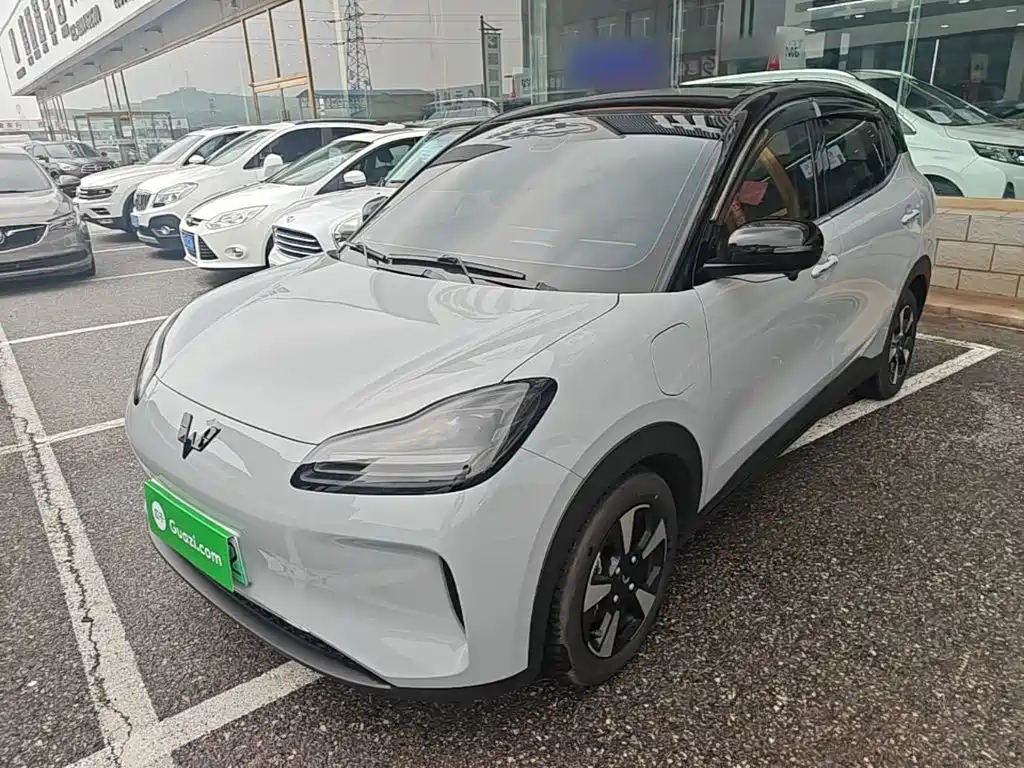 Wuling Binguo PLUS 2024 510km Flagship Edition 4-seat Edition