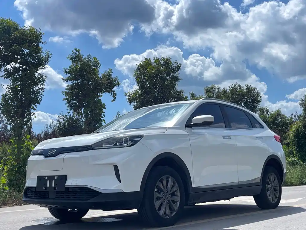 WM Motor EX5