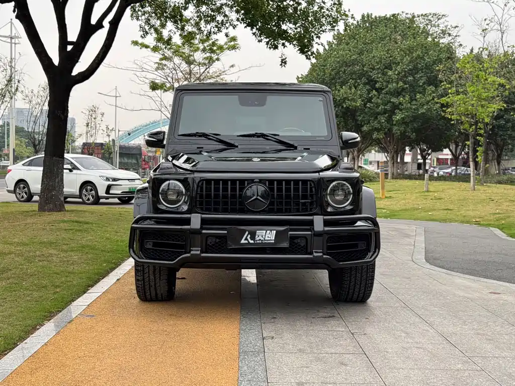 Mercedes-Benz G-Class G 2010 G 500