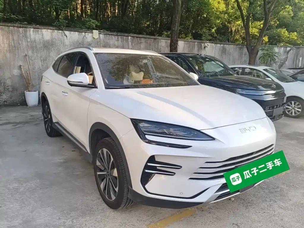 BYD PLUS New Energy — миниатюра 4