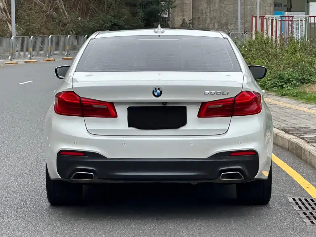 BMW 5 Series 5 2020 530Li Premium M Sport