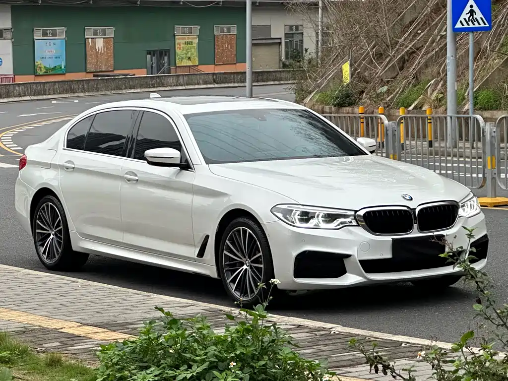 BMW 5 Series 5 2020 530Li Premium M Sport