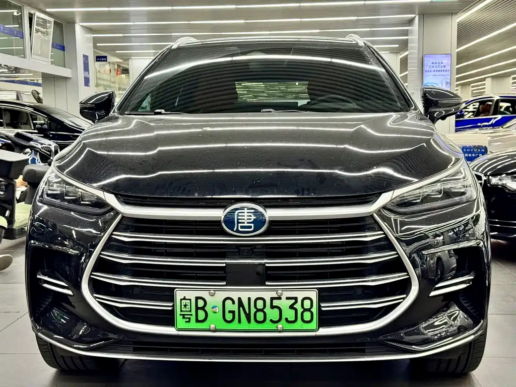 BYD Tang New Energy — миниатюра 2
