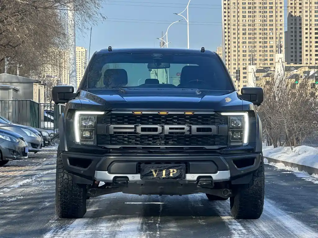 FORD F 150 RAPTOR