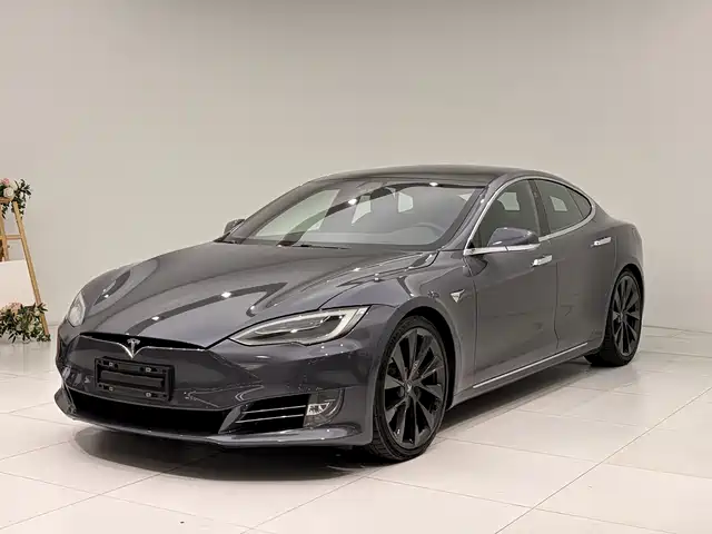 TESLA MODEL S 2021